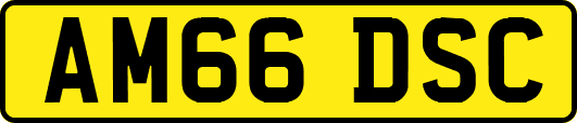 AM66DSC