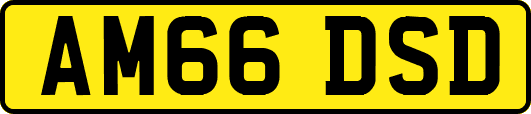 AM66DSD