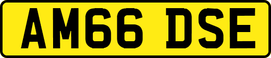 AM66DSE