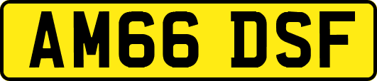 AM66DSF