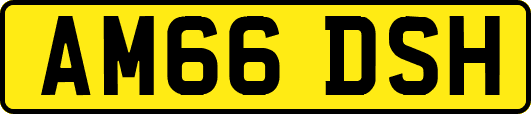 AM66DSH