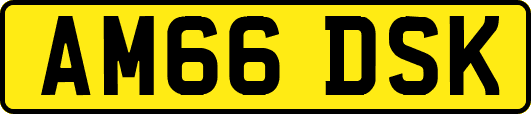 AM66DSK