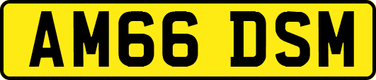 AM66DSM