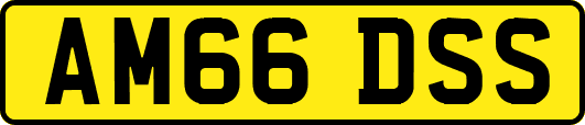 AM66DSS