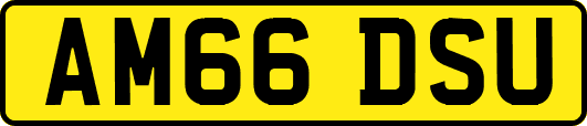 AM66DSU
