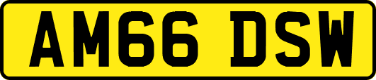 AM66DSW