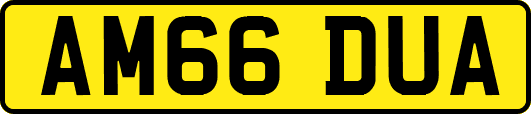 AM66DUA