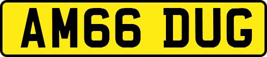 AM66DUG