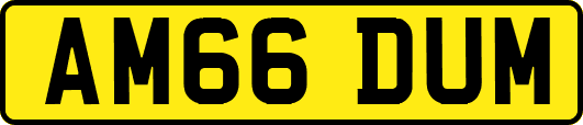 AM66DUM