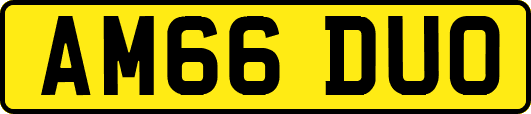 AM66DUO