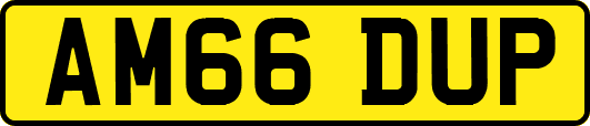 AM66DUP