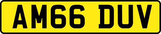 AM66DUV