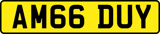 AM66DUY