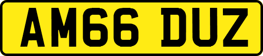AM66DUZ