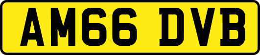 AM66DVB