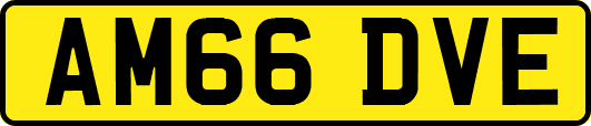 AM66DVE