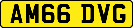 AM66DVG