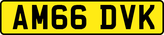 AM66DVK