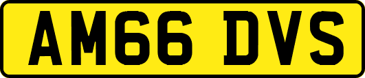 AM66DVS