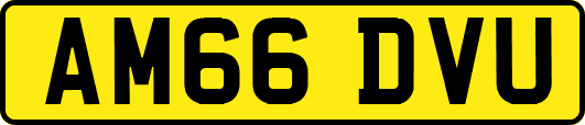 AM66DVU