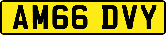 AM66DVY