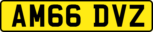 AM66DVZ