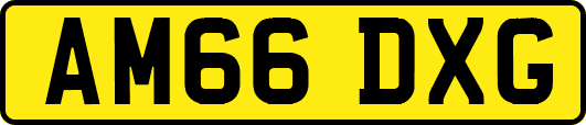 AM66DXG