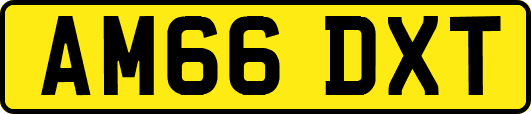AM66DXT
