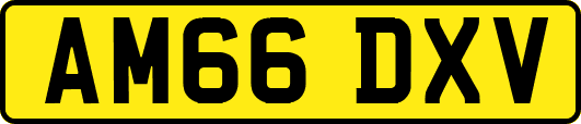 AM66DXV