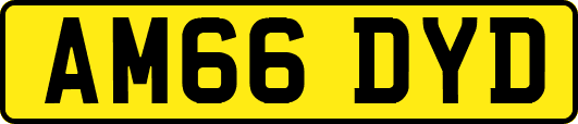 AM66DYD