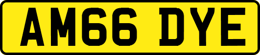 AM66DYE