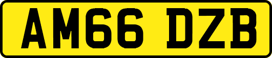 AM66DZB