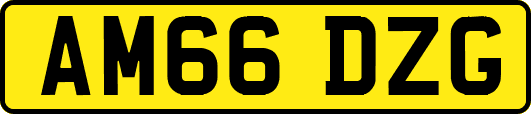 AM66DZG