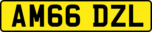 AM66DZL