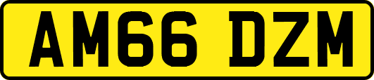 AM66DZM