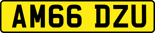 AM66DZU