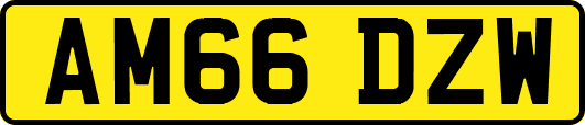 AM66DZW