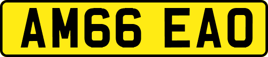 AM66EAO