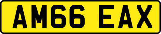AM66EAX