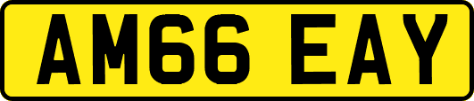 AM66EAY