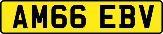 AM66EBV