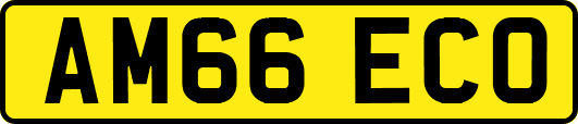 AM66ECO