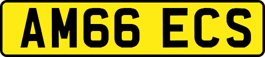 AM66ECS