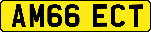 AM66ECT
