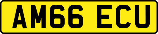 AM66ECU