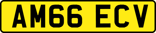 AM66ECV