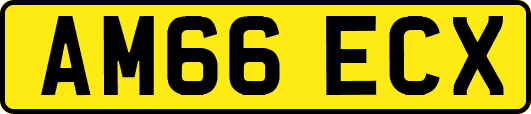 AM66ECX