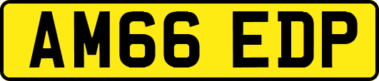 AM66EDP