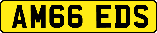 AM66EDS