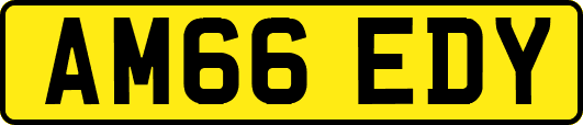 AM66EDY
